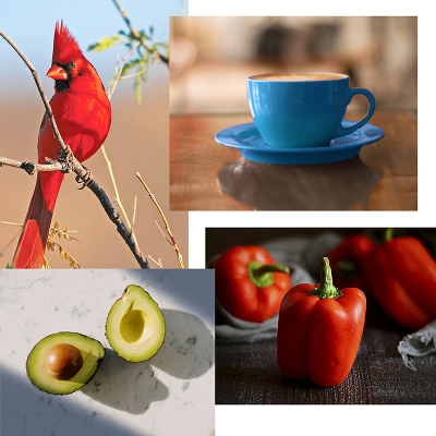 Zoom oil painting project