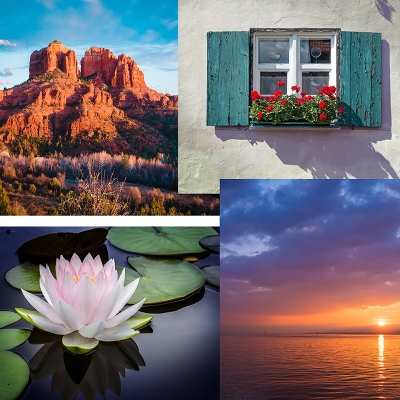 Zoom oil painting project