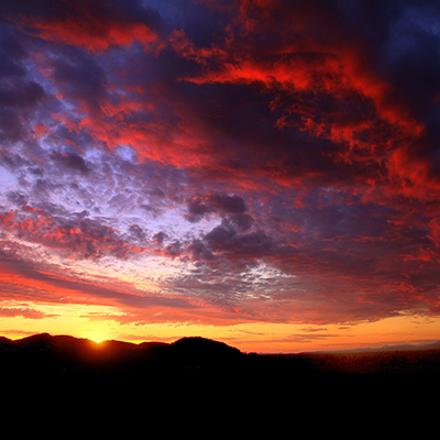 Zoom oil painting project