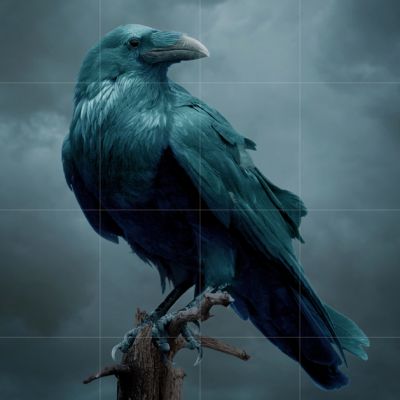 Zoom oil painting project