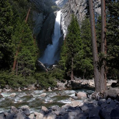 Zoom oil painting project