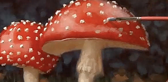 Fine Art Oil Portraits